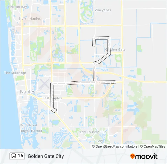 16 Bus Line Map