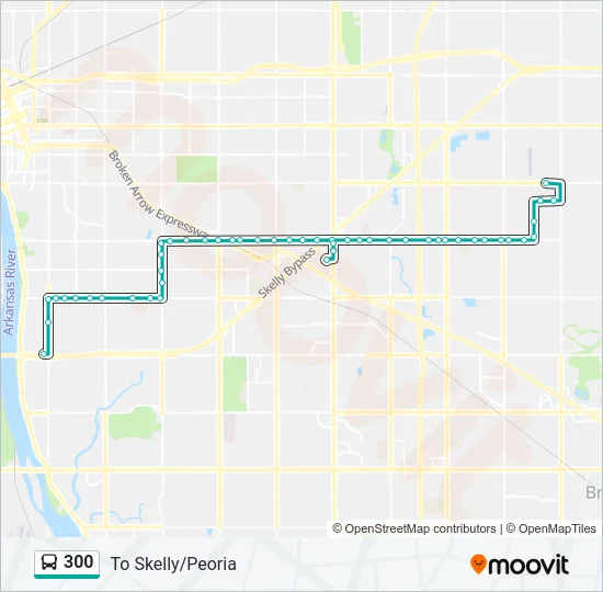 300 Bus Line Map