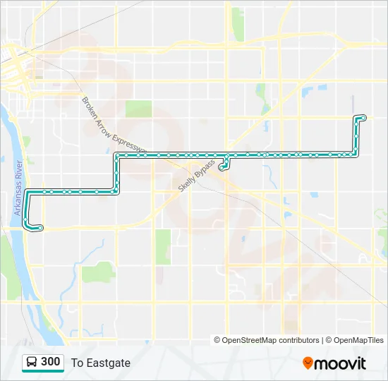 300 Bus Line Map
