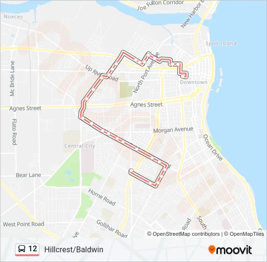 12 Bus Line Map