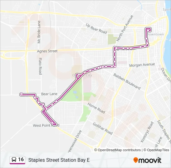 16 Bus Line Map