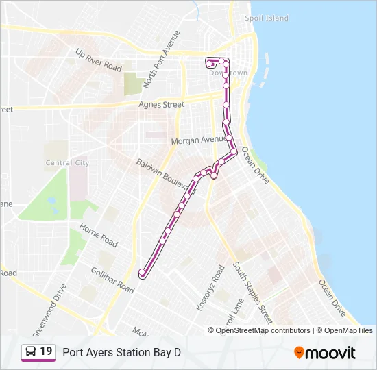 19 Bus Line Map