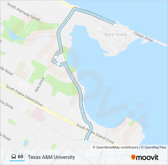 60 Bus Line Map
