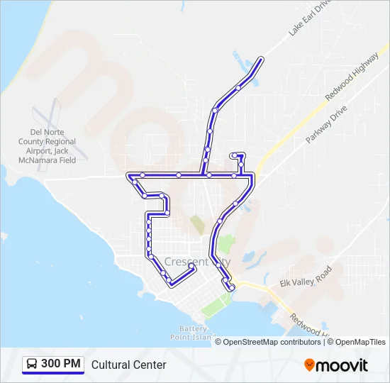 300 PM Bus Line Map
