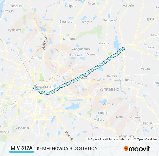 V-317A Bus Line Map