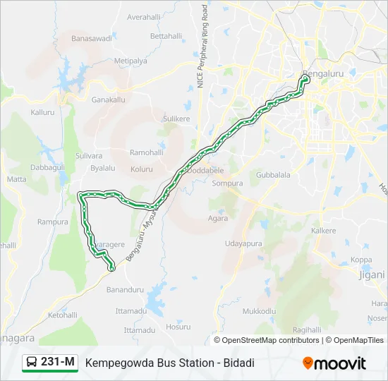 231-M Bus Line Map