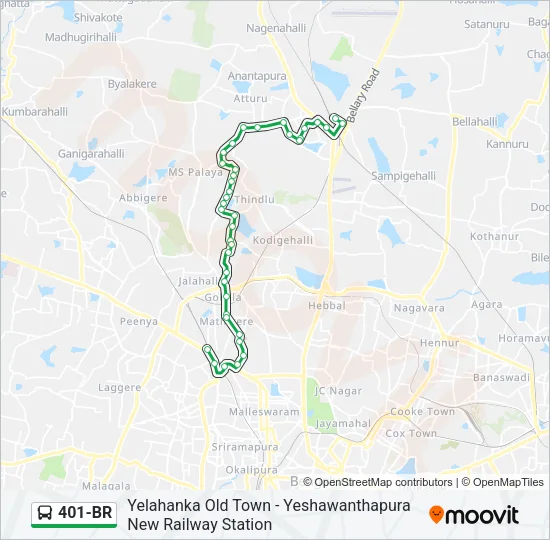 401-BR Bus Line Map
