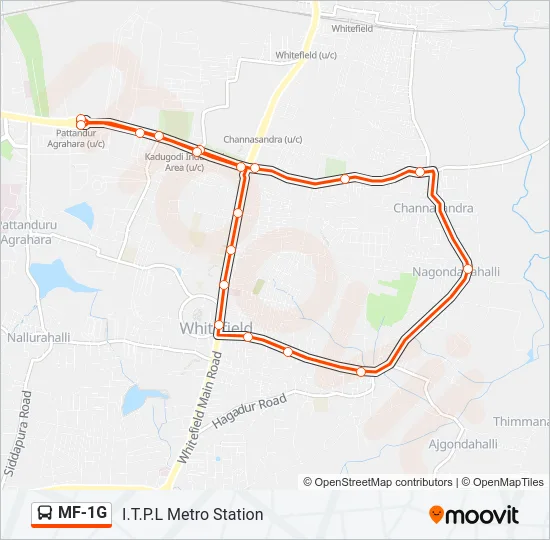 MF-1G Bus Line Map