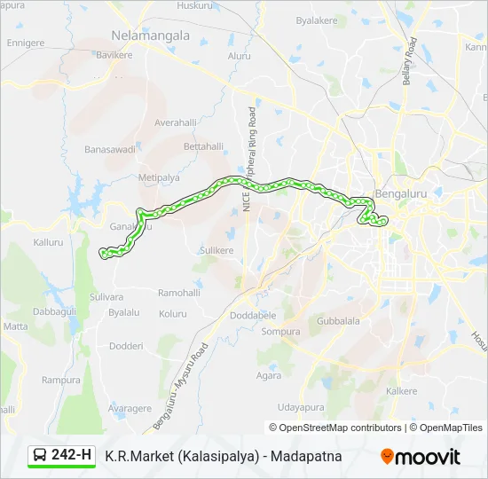 242-H Bus Line Map