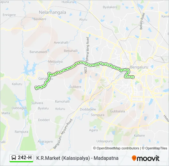 242-H Bus Line Map