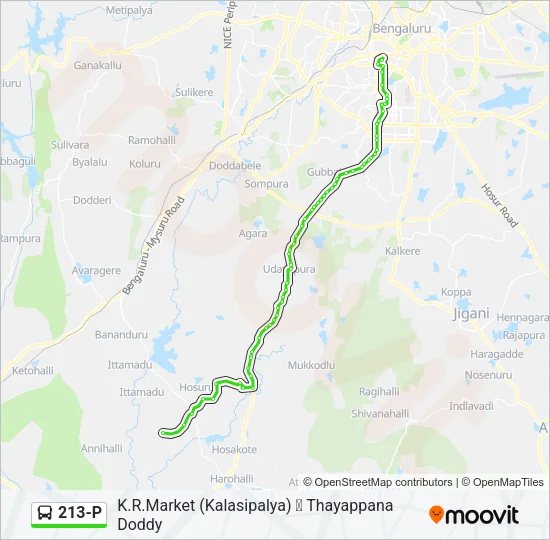 213-P Bus Line Map