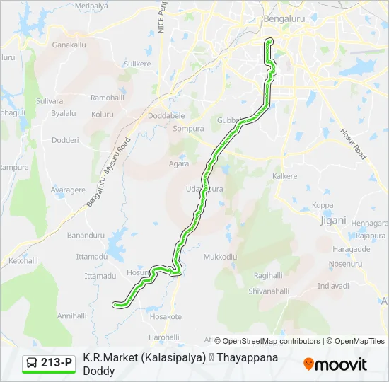 213-P Bus Line Map
