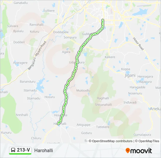213-V Bus Line Map