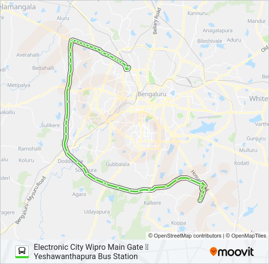 NICE-7A ELCW-YBS Bus Line Map