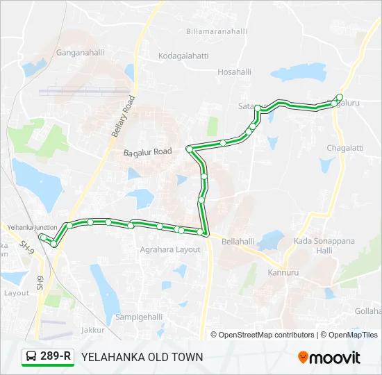 289-R Bus Line Map