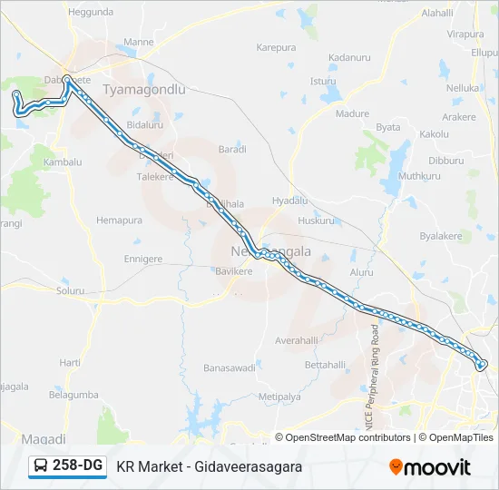258-DG Bus Line Map