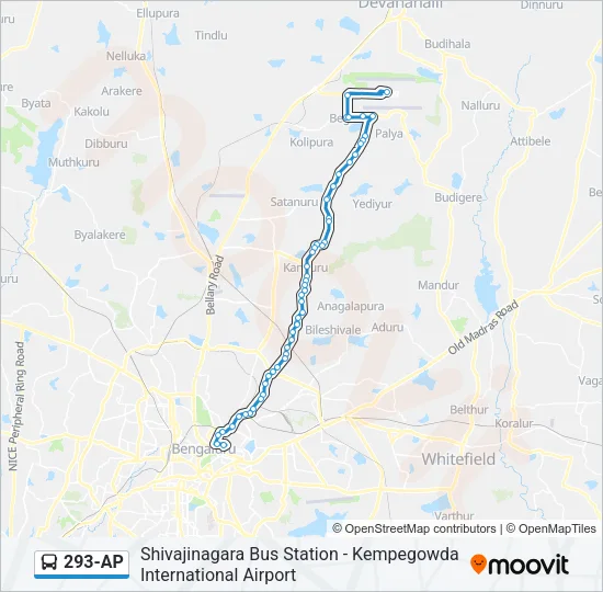 293-AP Bus Line Map