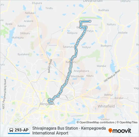293-AP Bus Line Map