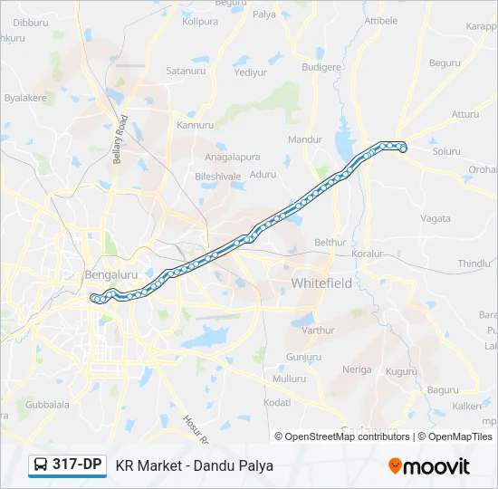 317-DP Bus Line Map