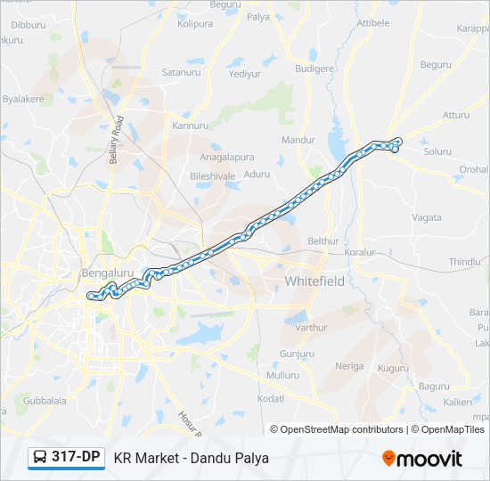 317-DP Bus Line Map