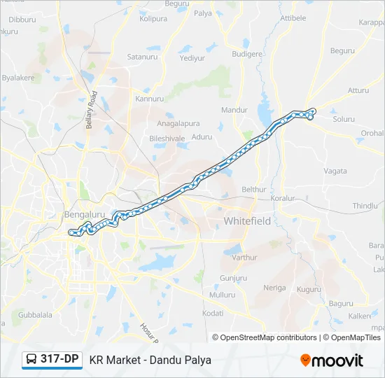 317-DP Bus Line Map