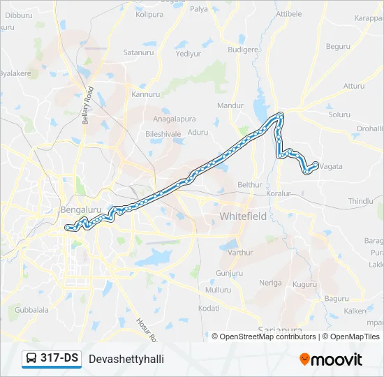 317-DS Bus Line Map