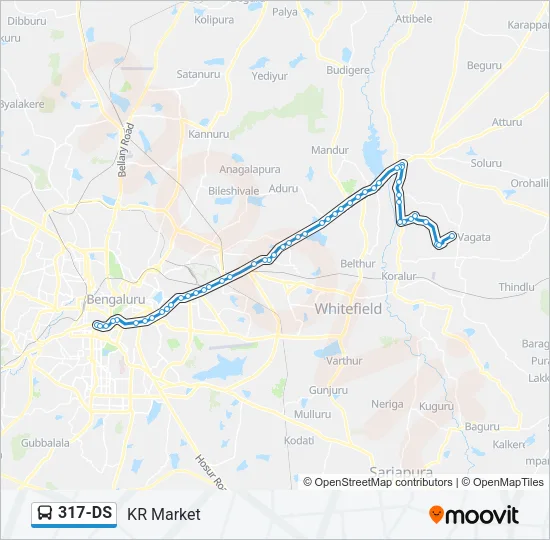 317-DS Bus Line Map