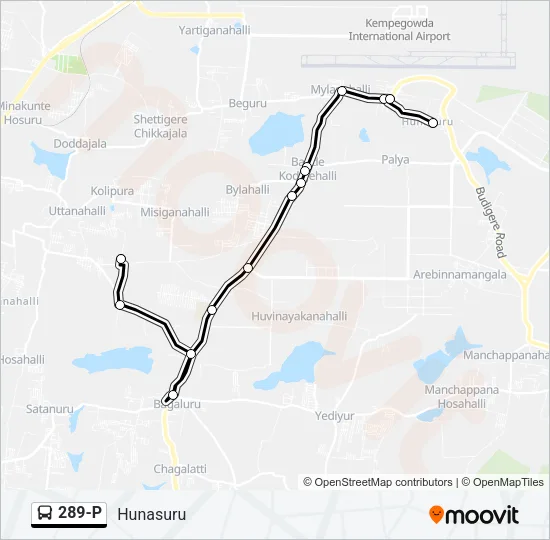 289-P Bus Line Map