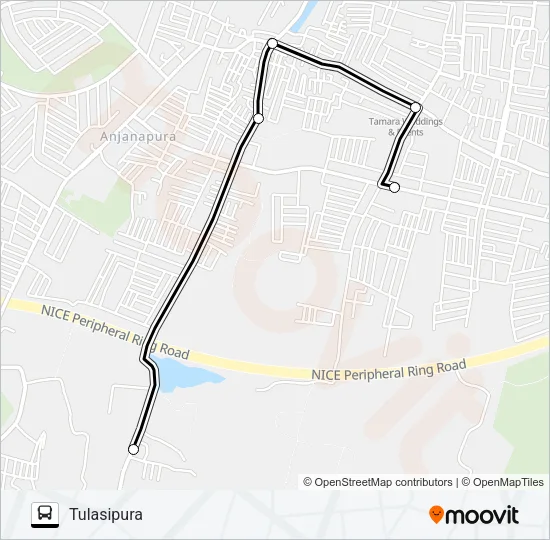 D44-TLSP Bus Line Map