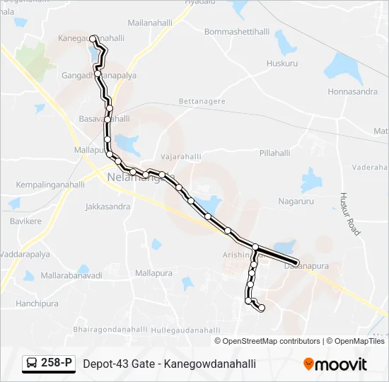 258-P Bus Line Map