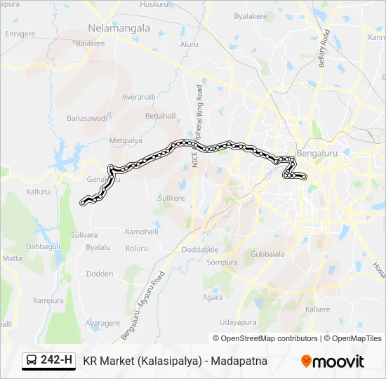 242-H Bus Line Map