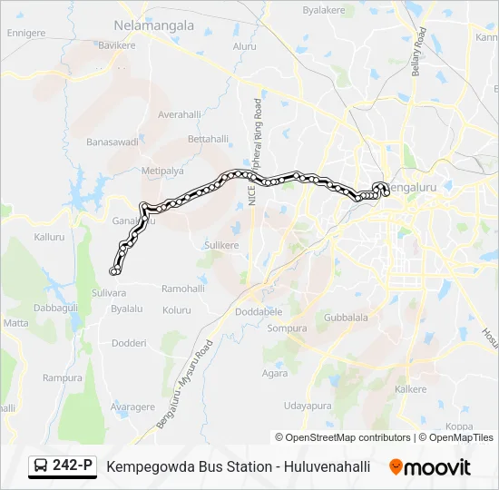 242-P Bus Line Map