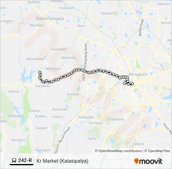 242-R Bus Line Map