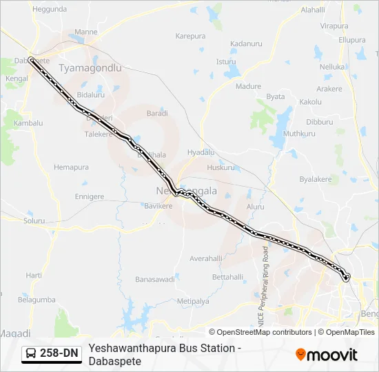 258-DN Bus Line Map