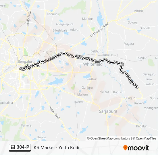 304-P Bus Line Map