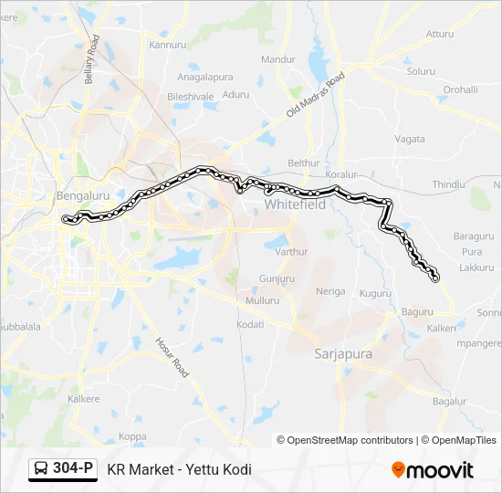 304-P Bus Line Map