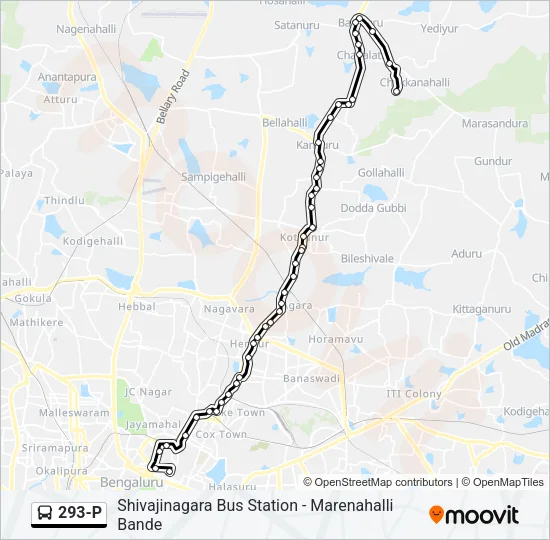 293-P Bus Line Map