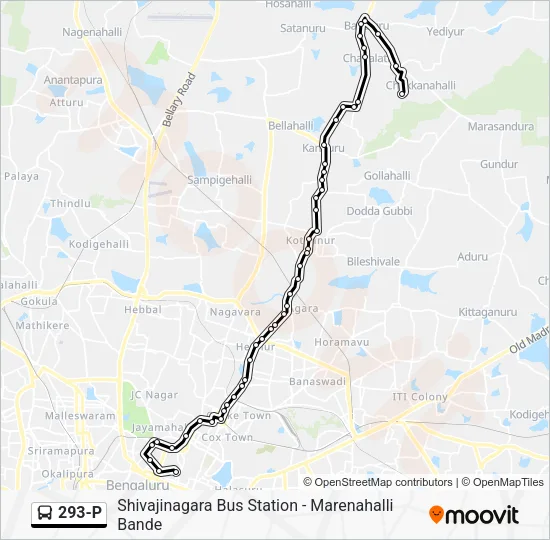 293-P Bus Line Map
