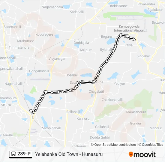 289-P Bus Line Map