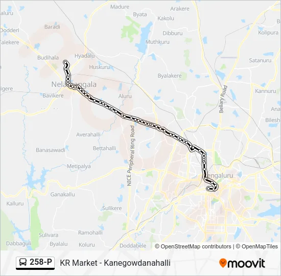 258-P Bus Line Map