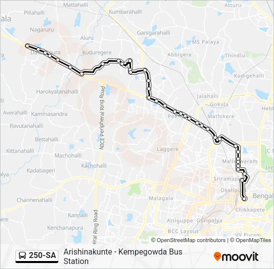 250-SA Bus Line Map