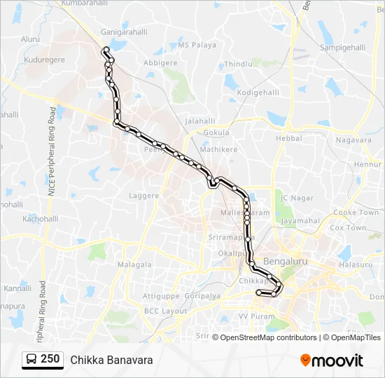 250 Bus Line Map