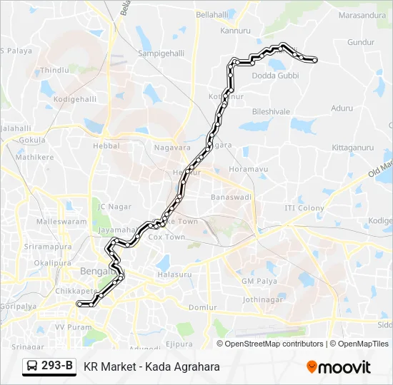 293-B Bus Line Map