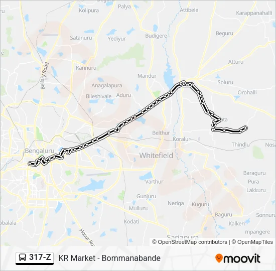 317-Z Bus Line Map