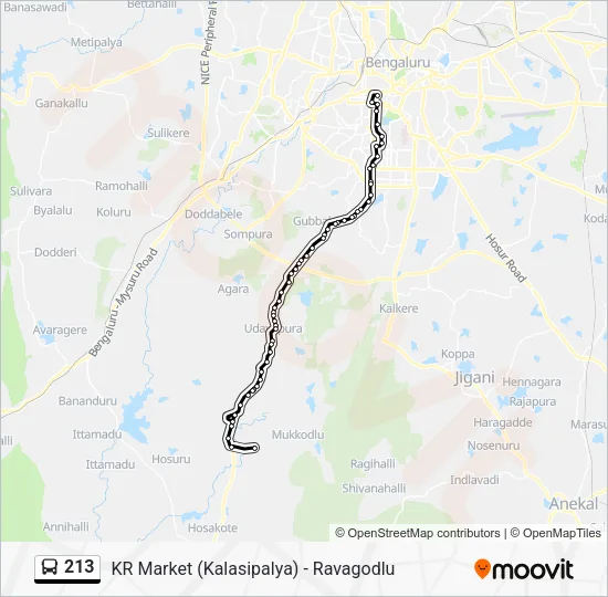 213 Bus Line Map