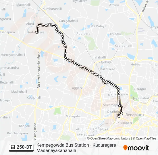 250-DT Bus Line Map