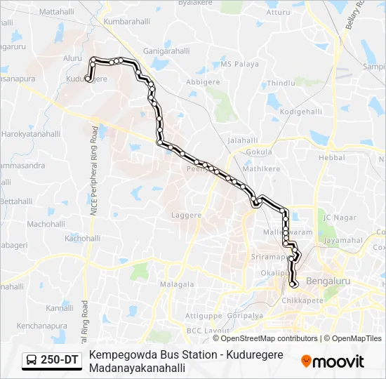 250-DT Bus Line Map