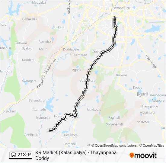 213-P Bus Line Map