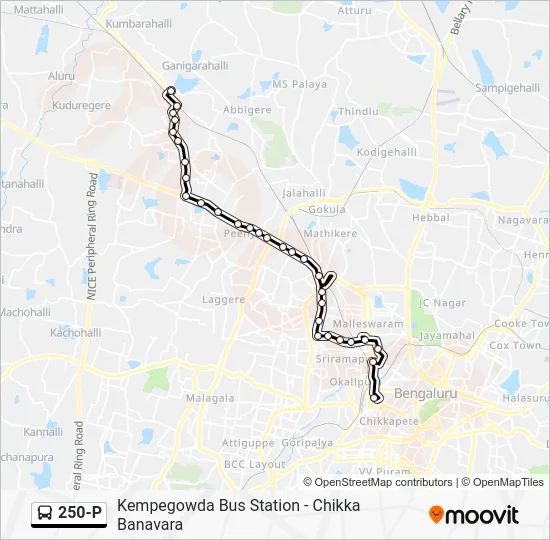 250-P Bus Line Map