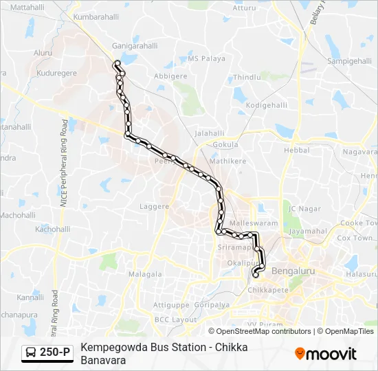 250-P Bus Line Map